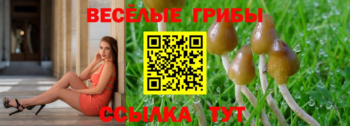Псилоцибиновые грибы мицелий  Псилоцибиновые грибы MAGIC MUSHROOMS  Вход с VPN  Чапаевск 