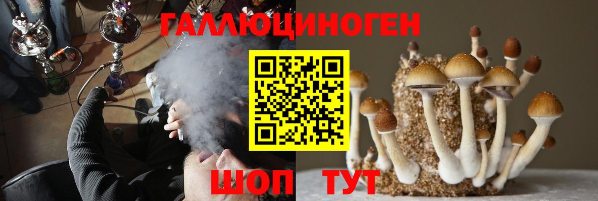 Галлюциногенные грибы Psilocybe Чапаевск